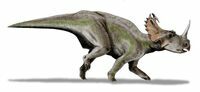 Artists reconstruction of Centrosaurus.  By Nobu Tamura - Creative Commons License